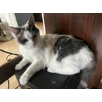 Image 1 of customer photos