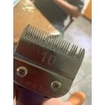 Image 4 of customer photos