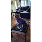 Image 6 of customer photos