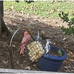 Image 1 of customer photos