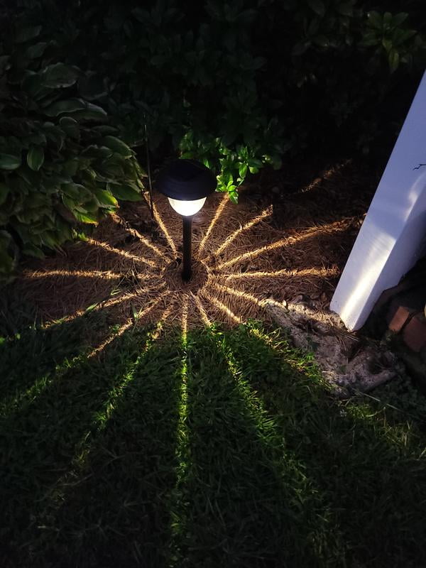 MSPK 5台 Member's Mark 5-Piece LED Solar Path Lights, Stainless Steel