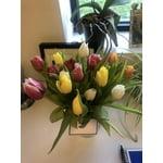 Image 1 of customer photos