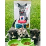 Image 4 of customer photos