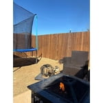 Image 2 of customer photos