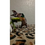 Image 1 of customer photos