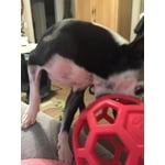 Image 2 of customer photos