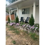 Image 3 of customer photos