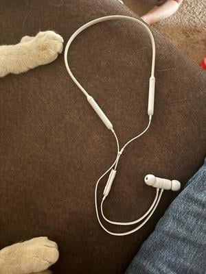 beats by dr. dre Beatsx Wireless Earphones - Walmart.ca