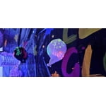 Image 6 of customer photos