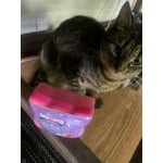 Image 7 of customer photos