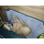 Image 7 of customer photos