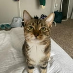 Image 3 of customer photos