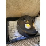 Image 6 of customer photos