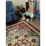 Image 7 of customer photos