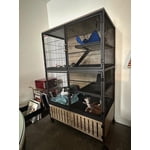 Image 3 of customer photos