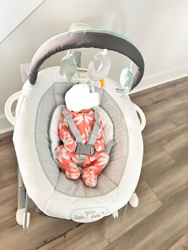 Graco Soothe 'n Sway LX Infant Swing with Portable Bouncer, Camila
