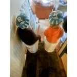 Image 5 of customer photos