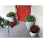 Image 3 of customer photos