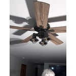 Image 7 of customer photos