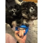 Image 3 of customer photos