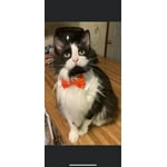 Image 3 of customer photos