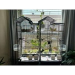 Image 3 of customer photos