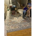 Image 5 of customer photos