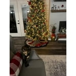 Image 3 of customer photos