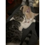 Image 1 of customer photos