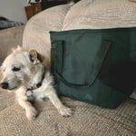 Image 2 of customer photos