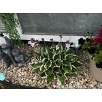 Image 7 of customer photos