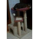 Image 2 of customer photos