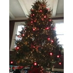 Image 1 of customer photos