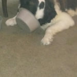 Image 4 of customer photos