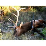 Image 6 of customer photos