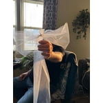 Image 2 of customer photos