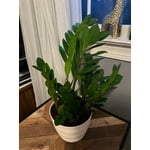 Image 7 of customer photos