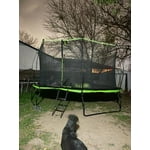 Image 7 of customer photos