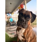 Image 3 of customer photos