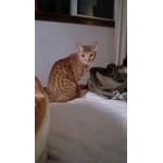 Image 5 of customer photos