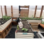 Image 3 of customer photos