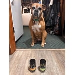 Image 5 of customer photos