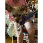 Image 2 of customer photos