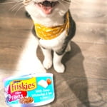 Image 3 of customer photos