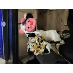 Image 3 of customer photos