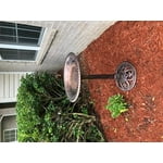 Image 7 of customer photos