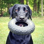 Image 4 of customer photos