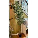 Image 7 of customer photos