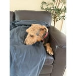 Image 6 of customer photos