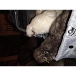 Image 3 of customer photos